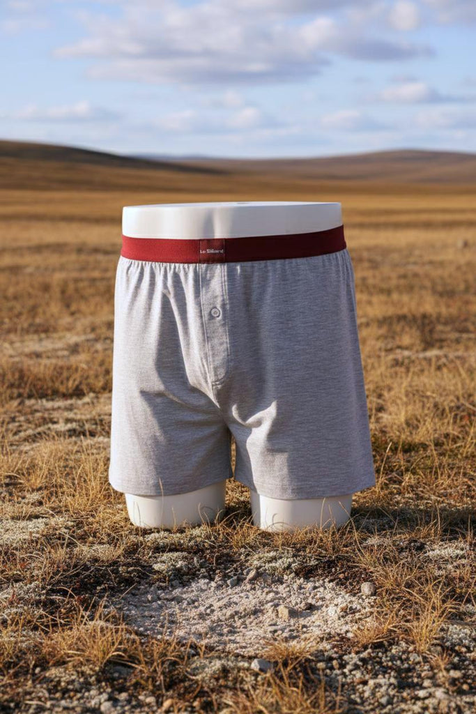 Caleçon Heather Grey